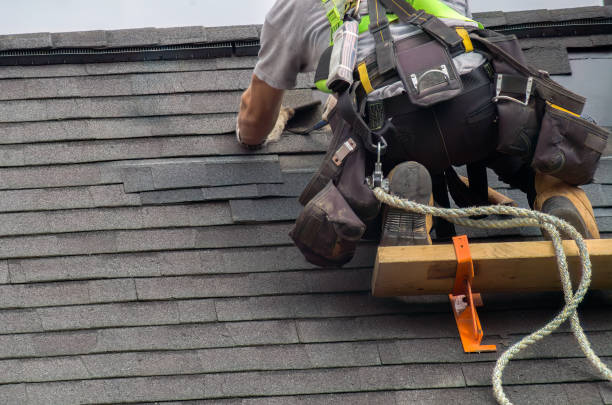 Residential Roof Replacement in Riverdale, IL