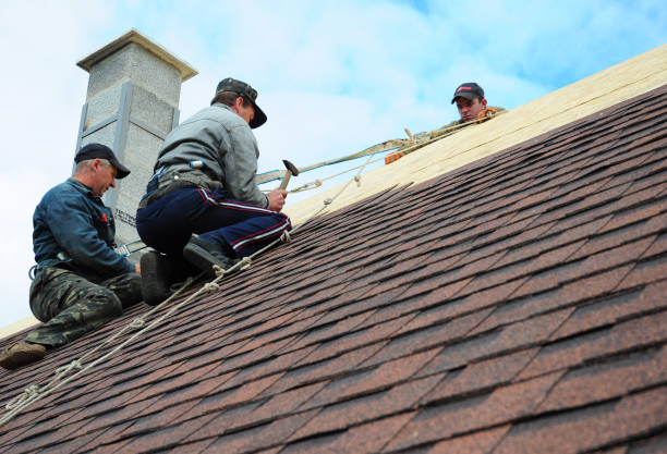 Best Local Roofing Companies  in Riverdale, IL
