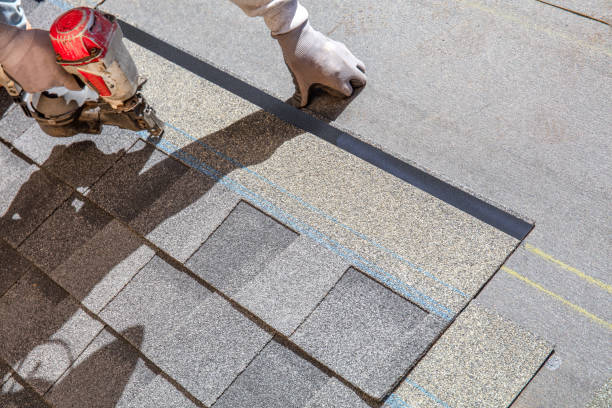Best Storm Damage Roof Repair  in Riverdale, IL
